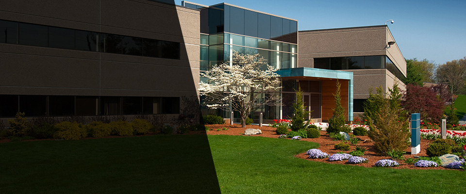 Perth Amboy Landscapers