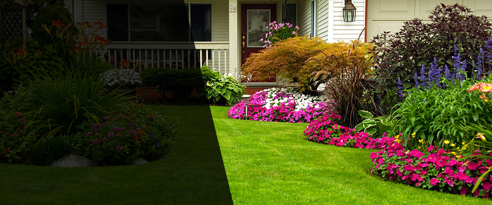 Perth Amboy Landscapers
