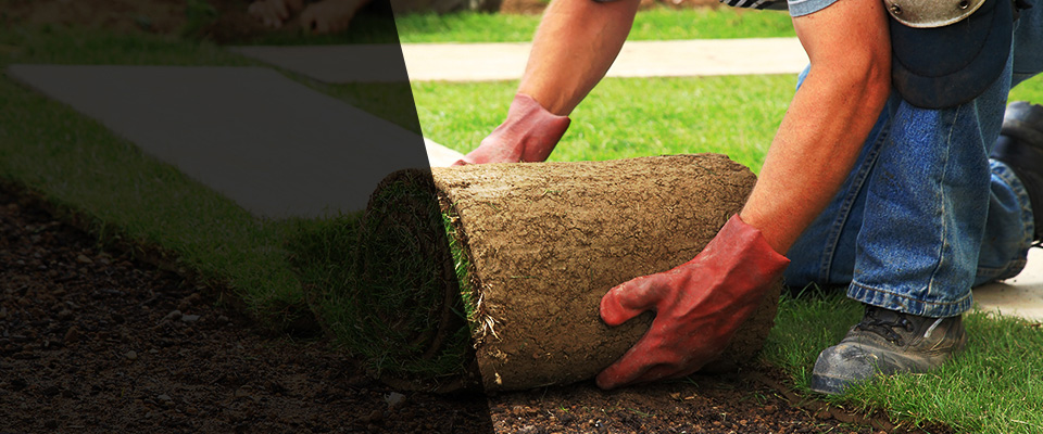 Perth Amboy Landscapers